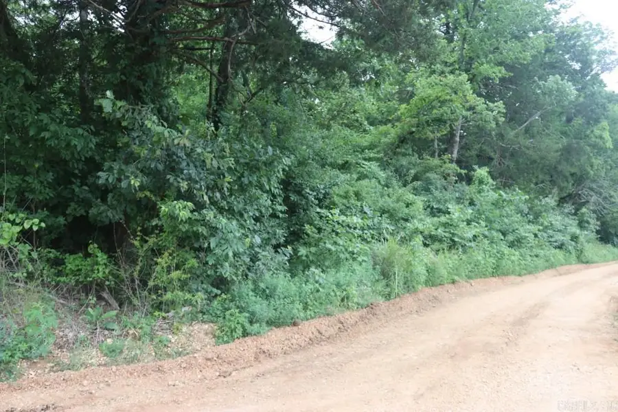 00 Wickham Road, Mountain View, AR 72560 - #2