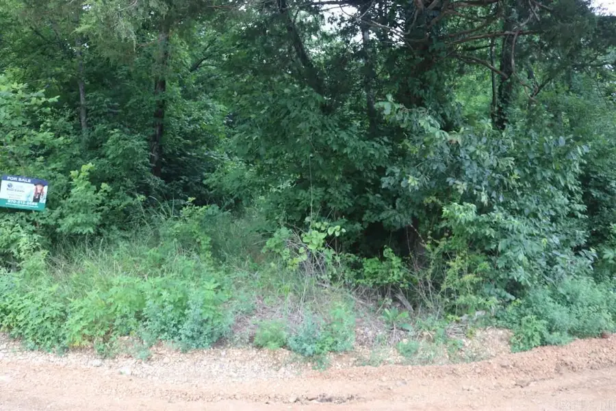 00 Wickham Road, Mountain View, AR 72560 - #3