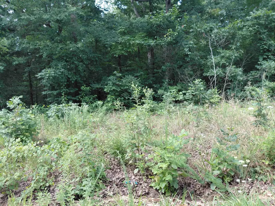Ponderosa Drive, Ozark Acres, AR 72482 - #3