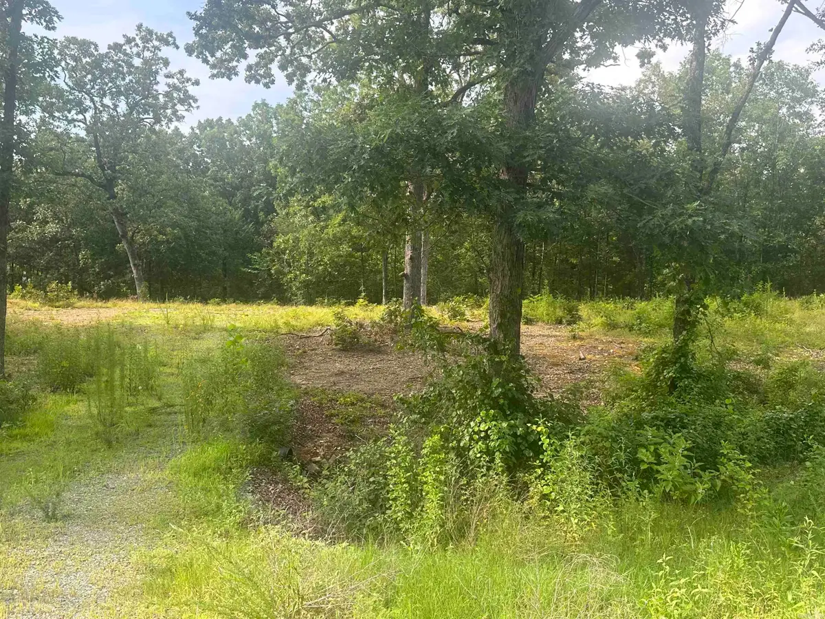 Lot 99 Vernon Court, Cabot, AR 72023 - #1