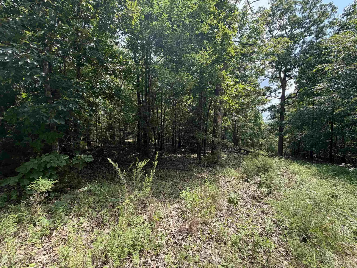 Lot 25 Blackfoot Drive, Cherokee Village, AR 72529 - #1