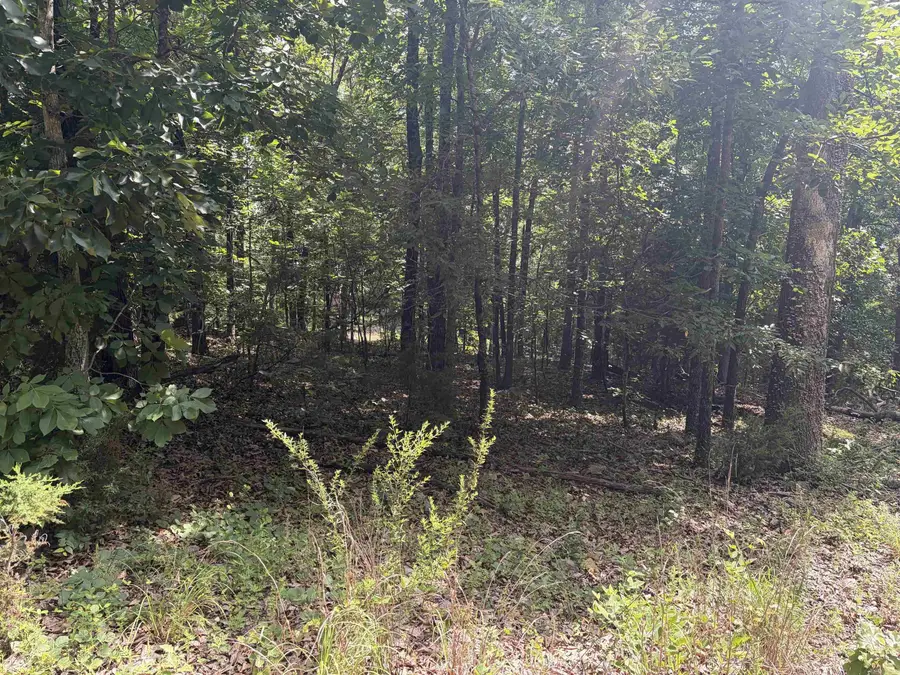 Lot 25 Blackfoot Drive, Cherokee Village, AR 72529 - #2