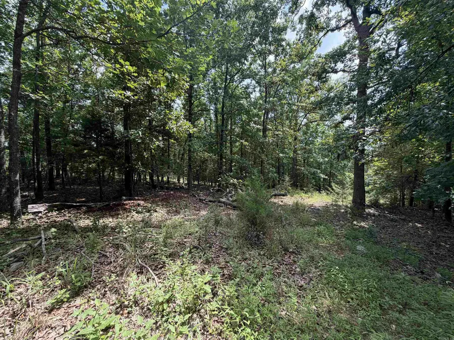 Lot 25 Blackfoot Drive, Cherokee Village, AR 72529 - #3