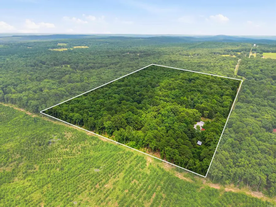 90 Mikoleit Road, Bigelow, AR 72016 - #2