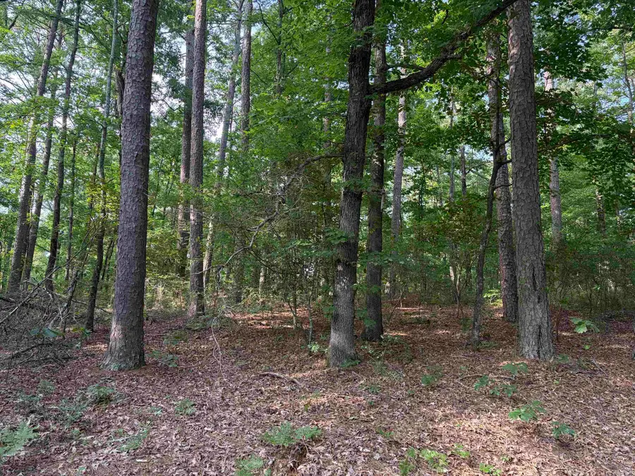 32 Grandilla Way, Hot Springs Village, AR 71909 - #2