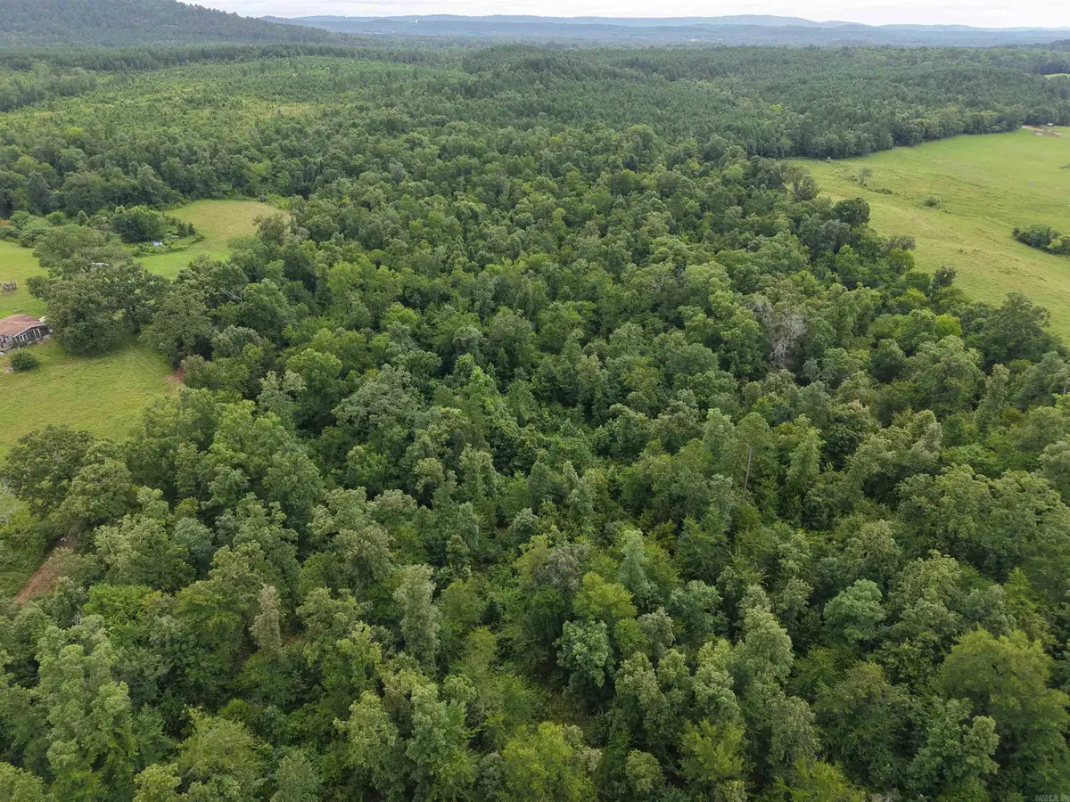 XXX Nubbin Ridge, Royal, AR 71968 - #1