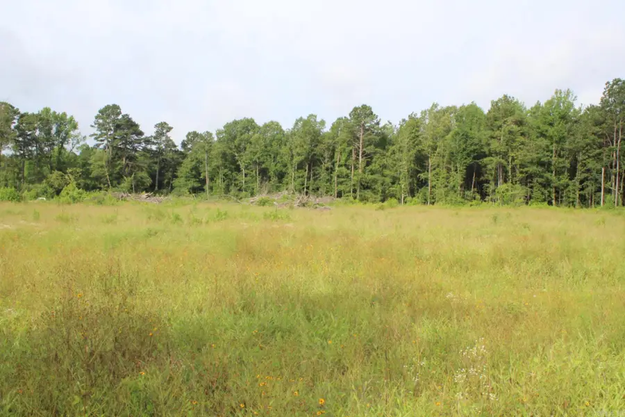 1442 Schaal Road, Franklin, AR 71851 - #2
