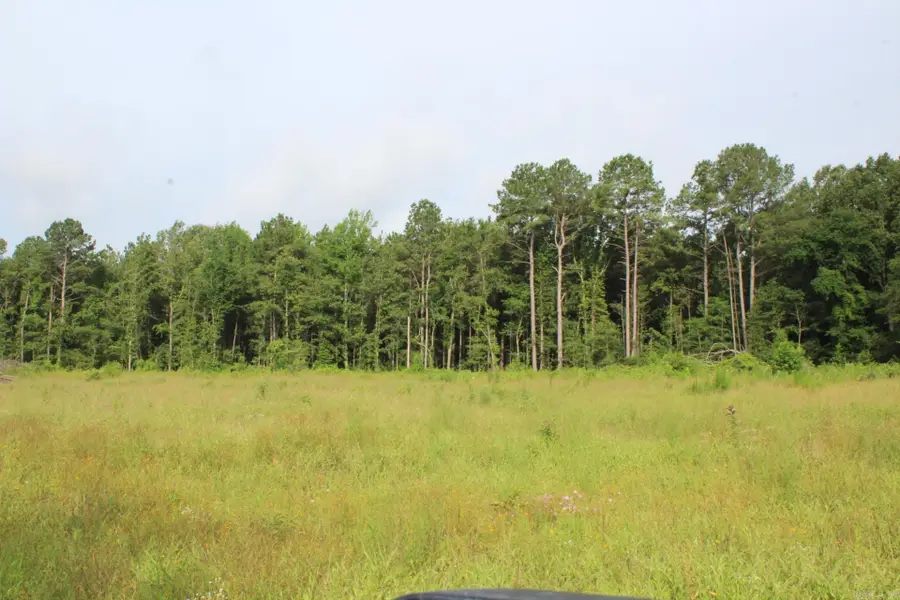 1442 Schaal Road, Franklin, AR 71851 - #3
