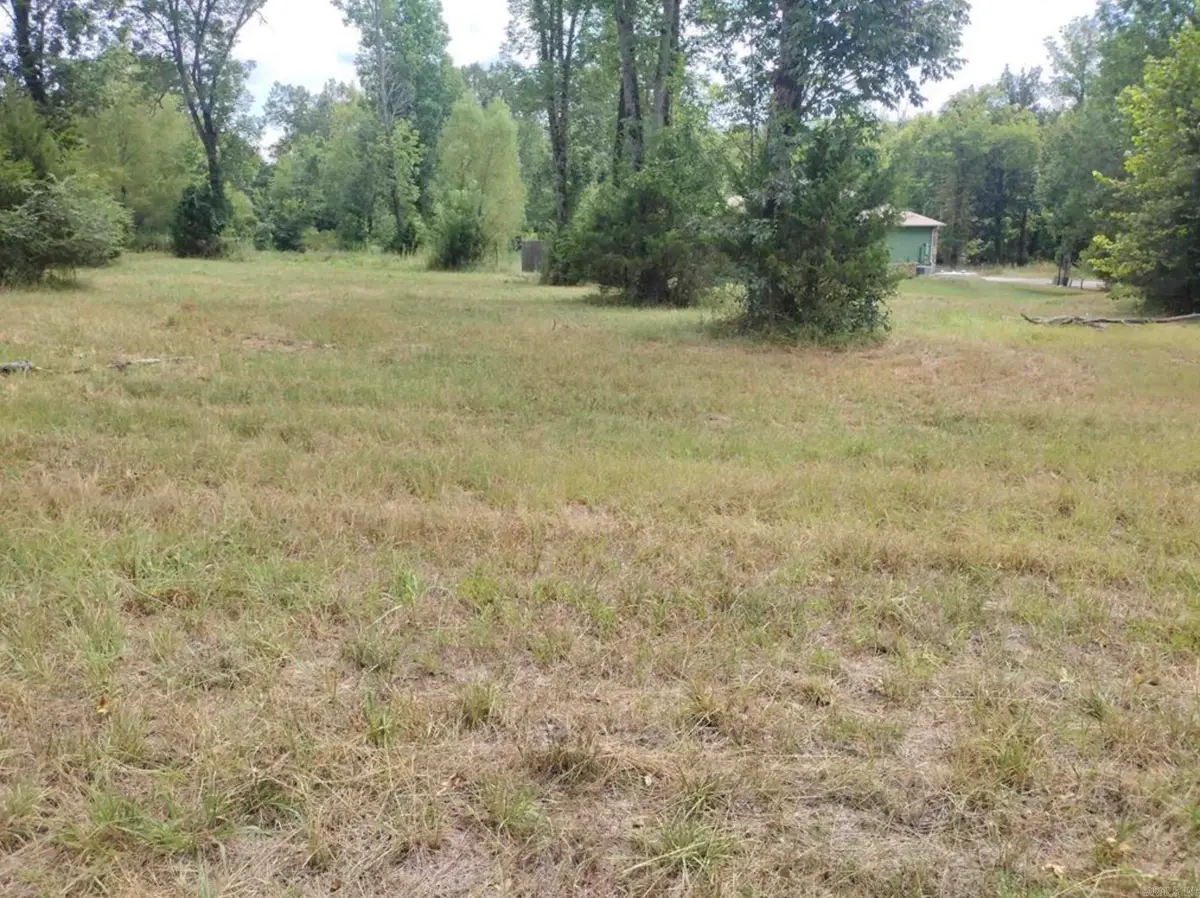 000 Frances Cove, Blue Mountain, AR 71560 - #1