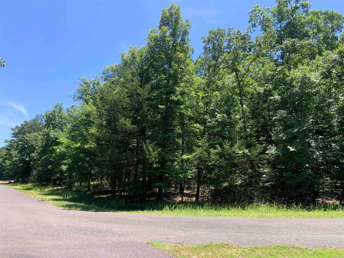 19 Campeon Ln, Hot Springs Village, AR 71909 - #1