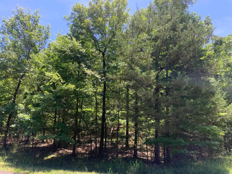 19 Campeon Ln, Hot Springs Village, AR 71909 - #2