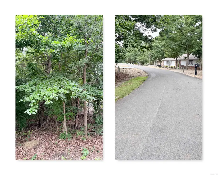 81 Marinero Way, Hot Springs Village, AR 71909 - #2