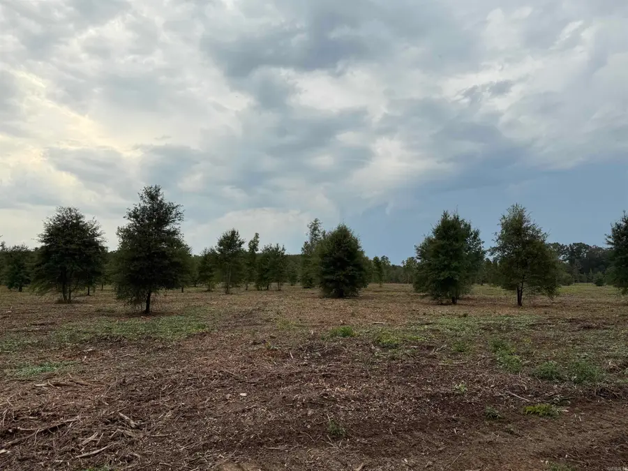 000 Hwy. 13, Cane, AR 72002 - #2