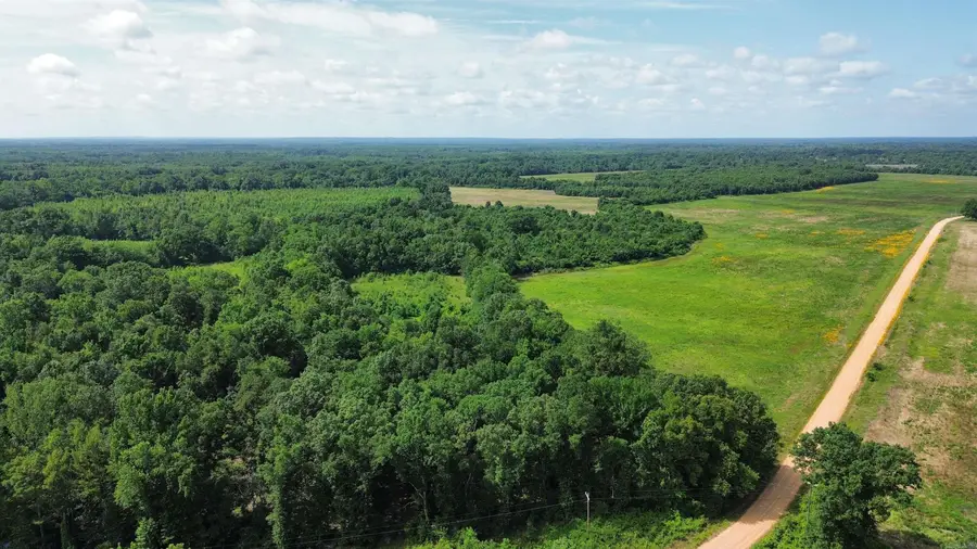 000 Addison Rd., Star City, AR 71667 - #3