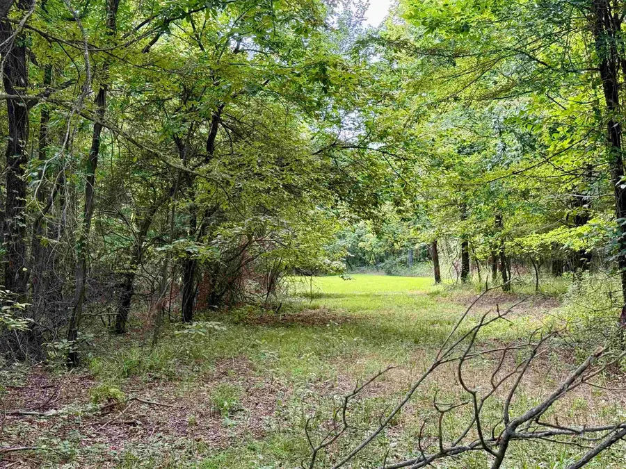 582 County Road 2291, Hartman, AR 72840 - #3