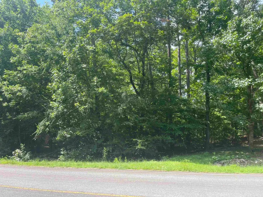 29 Balboa Drive, Hot Springs Village, AR 71909 - #3