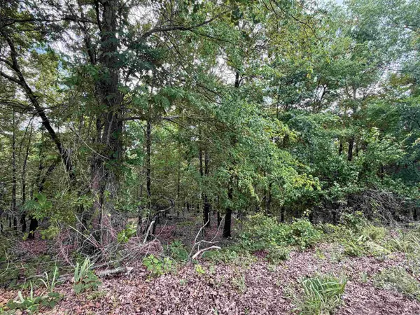 8 Jaguar Way, Hot Springs Village, AR 71909
