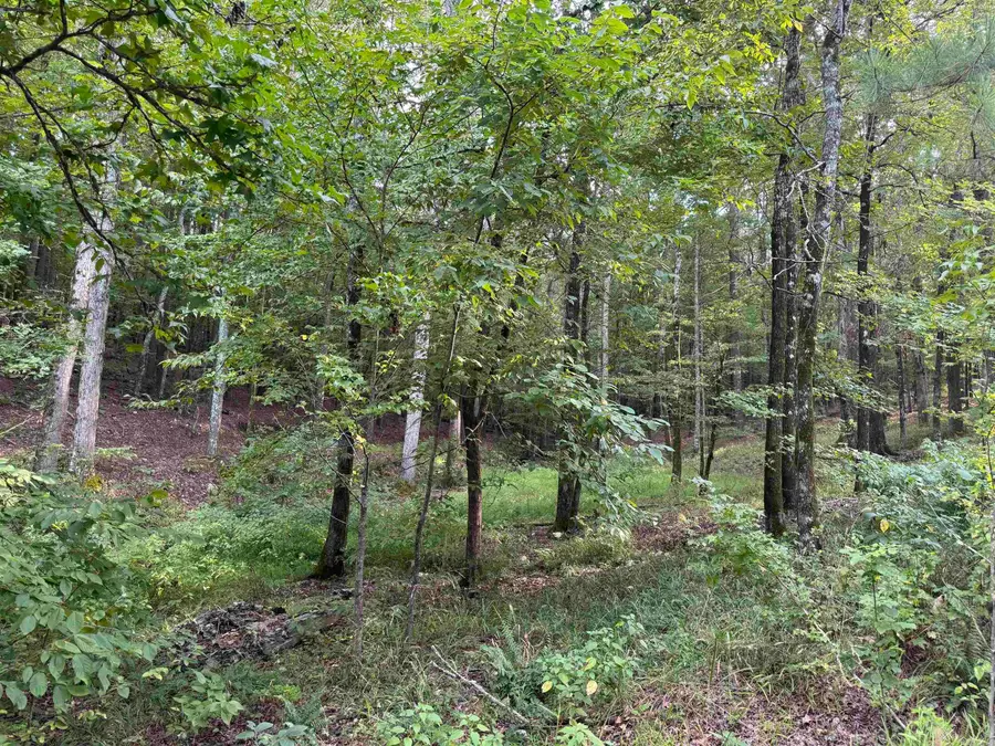 17 Brilliante Lane, Hot Springs Village, AR 71909 - #2