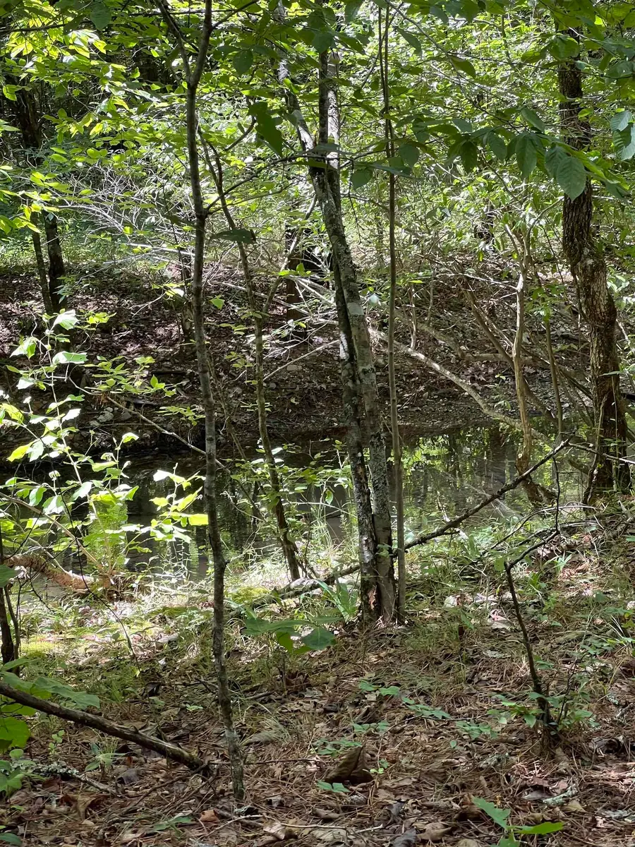 TBD Pleasant Point, Mount Ida, AR 71957 - #3