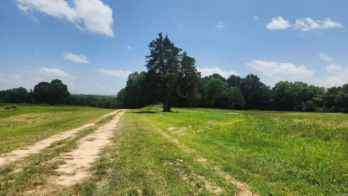 TBD (Tract 05) Whittington Homestead, Story, AR 71970 - #1