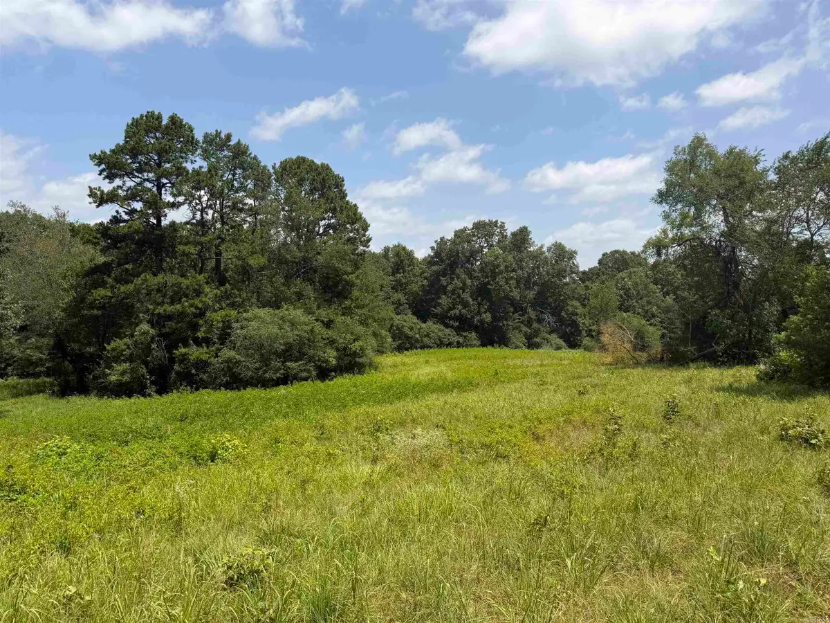 107 Hwy 107 Highway, Hill, AR 72120 - #1
