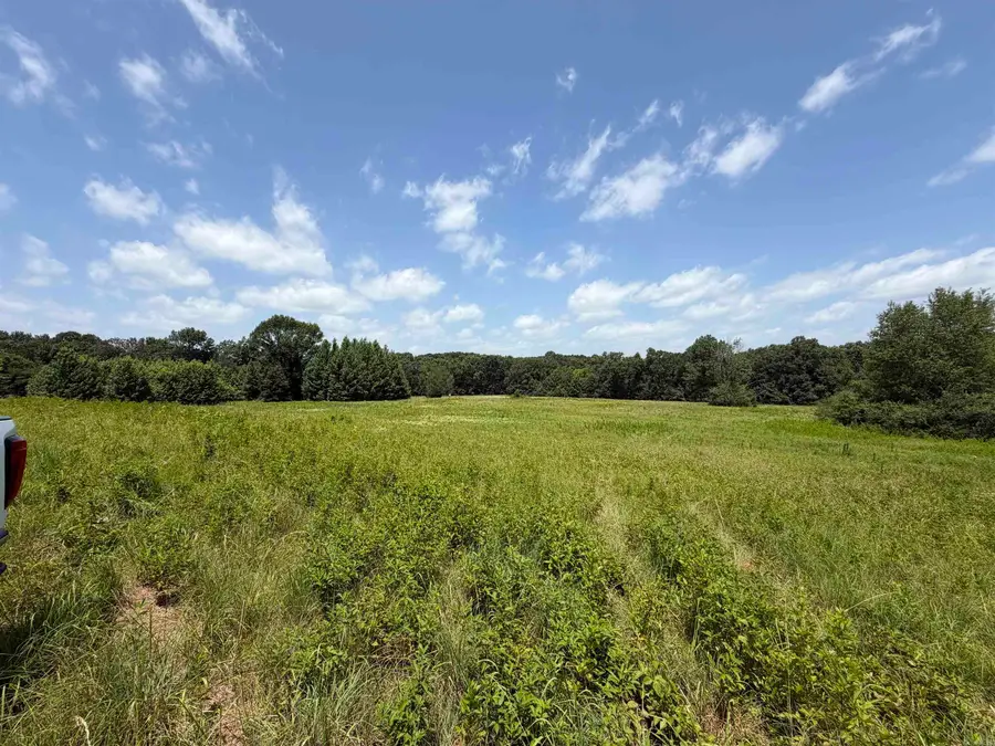 107 Hwy 107 Highway, Hill, AR 72120 - #2