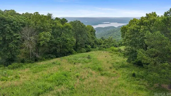 000 E Mountain Road, Bee Branch, AR 72013