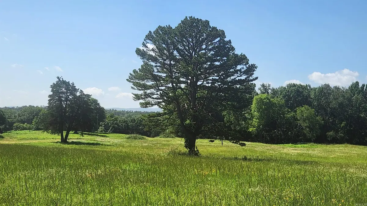 Tract 06 Whittington Homestead, Story, AR 71970 - #1