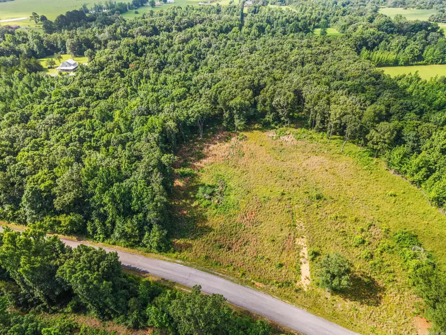 Roosevelt Road, Hartsell, AR 72143 - #3
