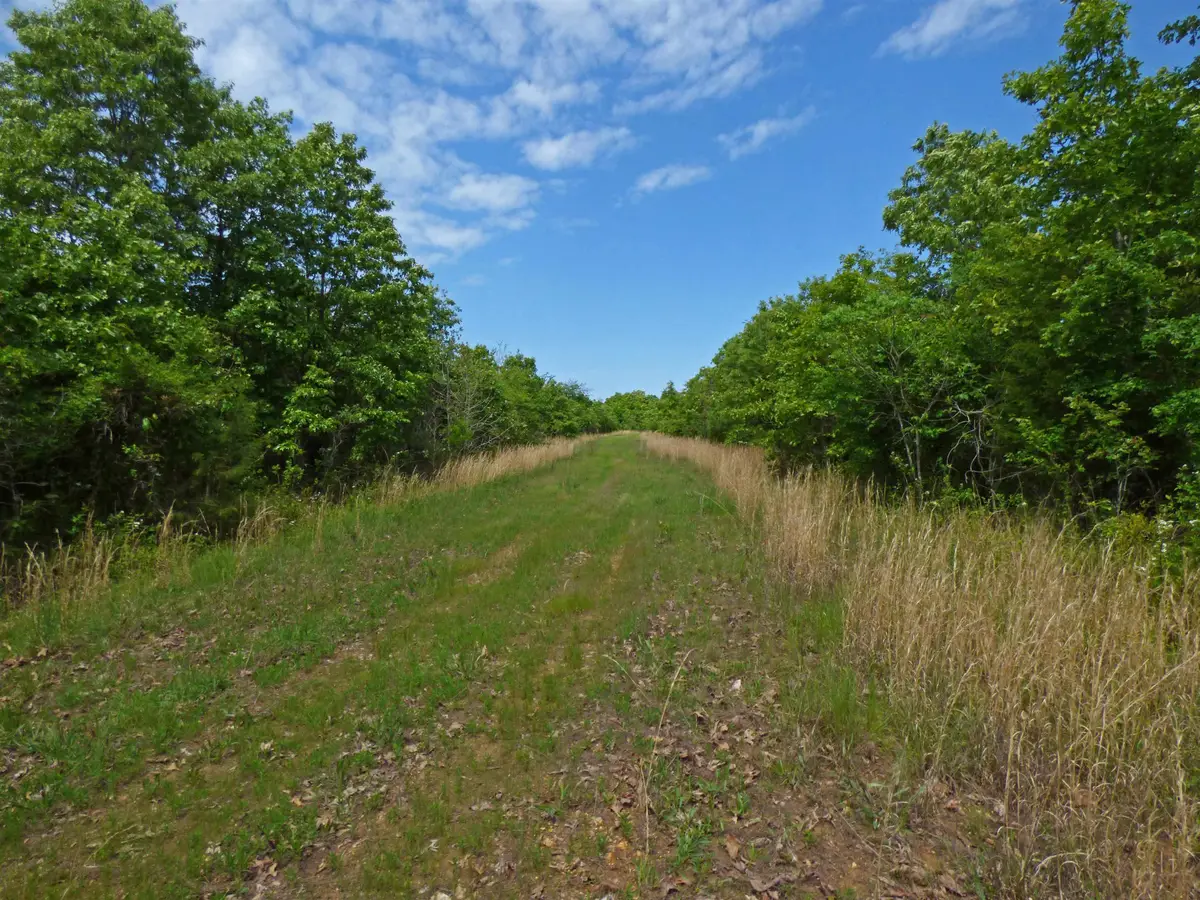 Herron Road, Ash Flat, AR 72513 - #1