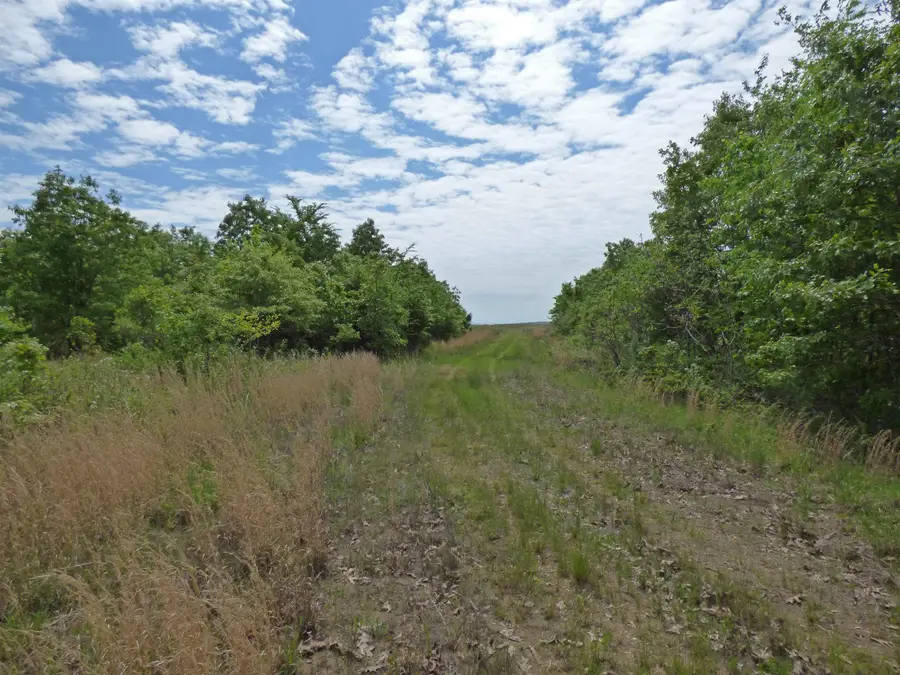 Herron Road, Ash Flat, AR 72513 - #2