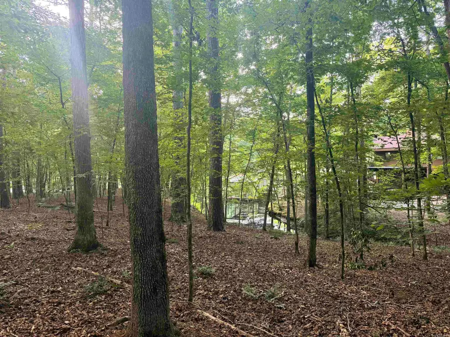 49 Sabiote Way, Hot Springs Village, AR 71909 - #3