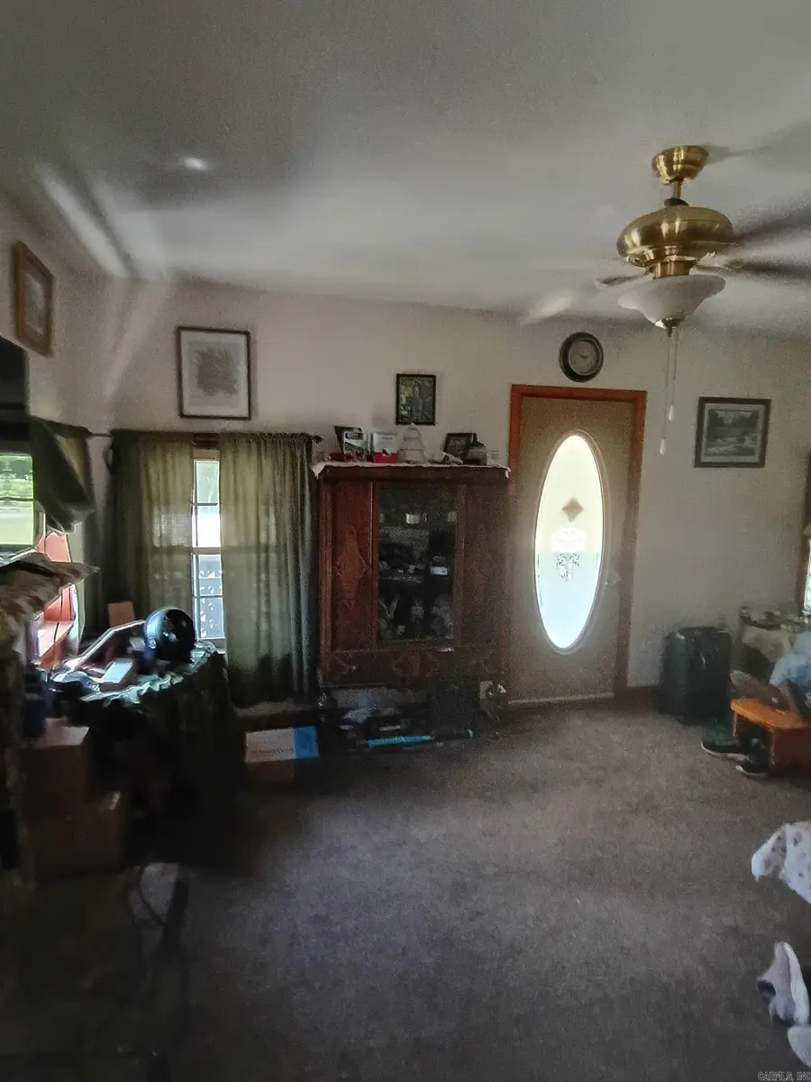 243 Polk Rd 50, Mena, AR 71953 - #3