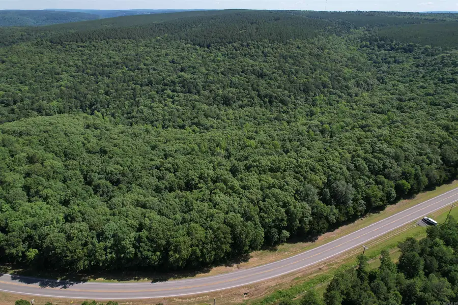 TBD Highway 92, Drasco, AR 72530 - #3