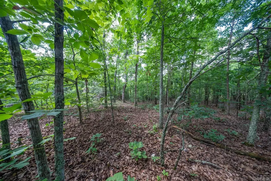 000 Ridgehaven Road, Mammoth Spring, AR 72554 - #3