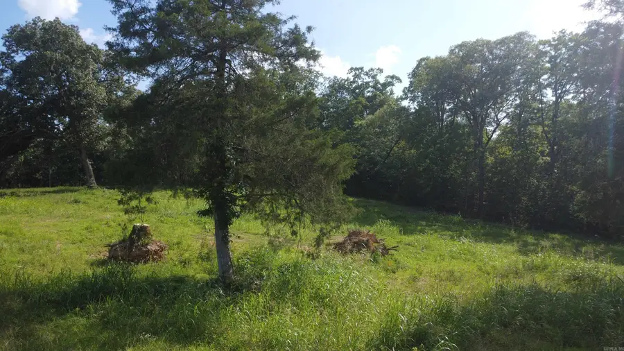 (Tract 07) TBD Whittington Homestead, Story, AR 71970 - #2