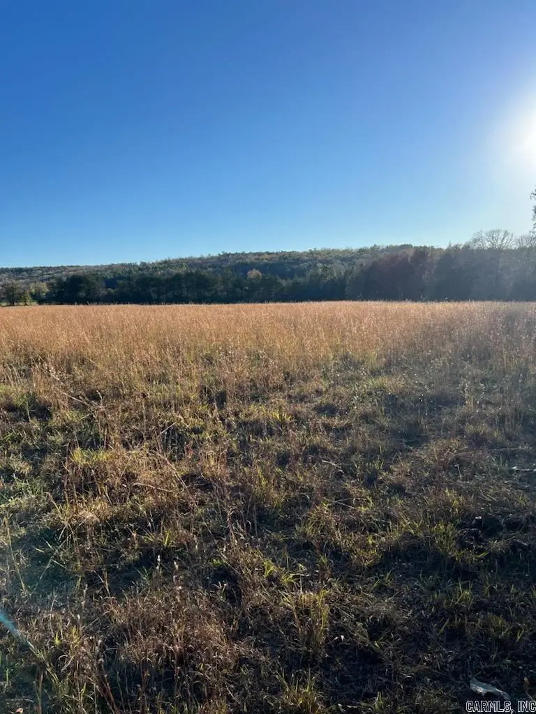 2035 Banner Mtn Road, Shirley, AR 72153 - #1