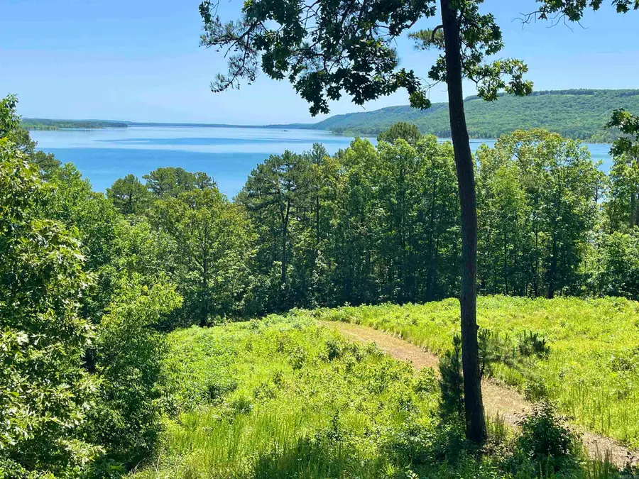389 Tortoise Bay Rd., Higden, AR 72067 - #2
