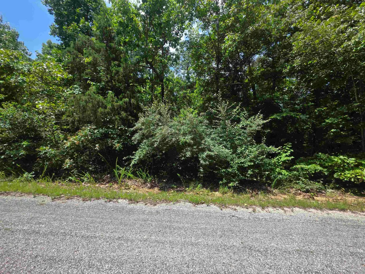 1101 S Michigan Avenue, Horseshoe Bend, AR 72512 - #1