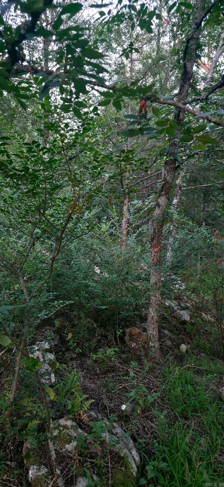 TBD Rocky Road, Bradford, AR 72020 - #2