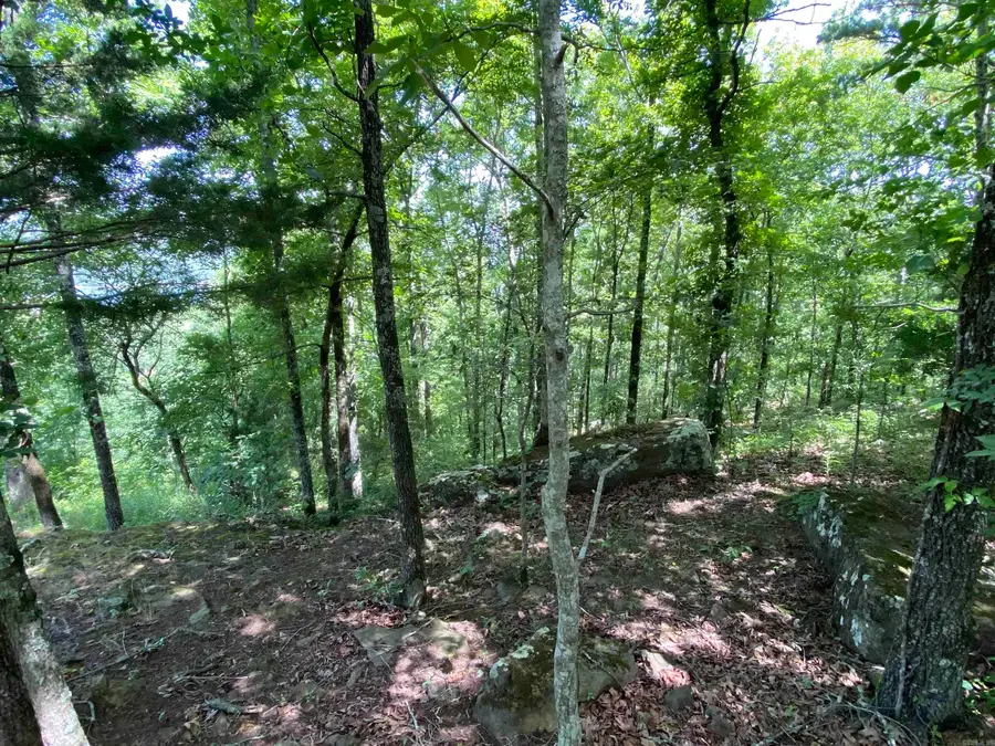 Lot 3 Bluff Drive, Edgemont, AR 72044 - #3