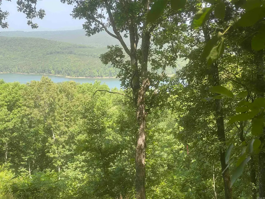 Lot 2 Bluff Drive, Edgemont, AR 72044 - #3