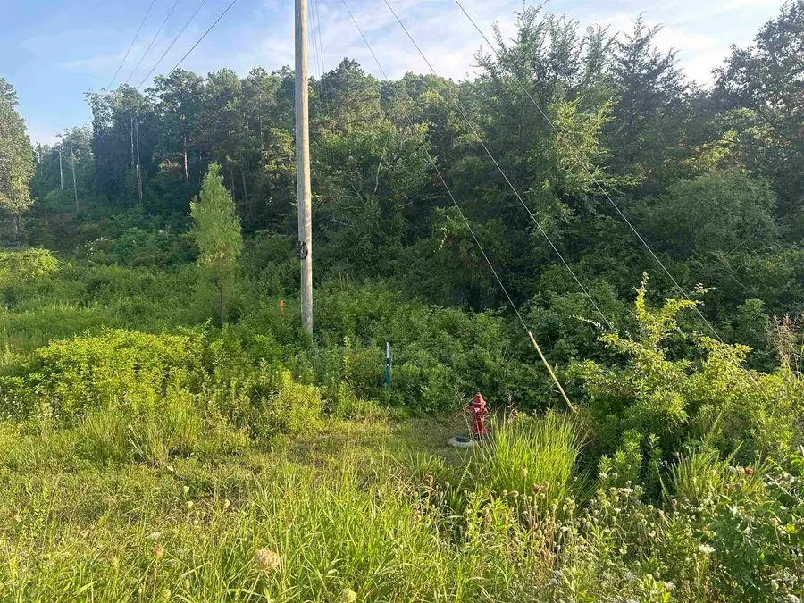 34.35 Acres Hwy 65 N., Clinton, AR 72031 - #3