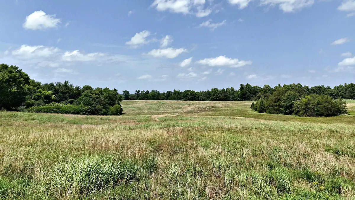 TBD Polk Road 283, Hatfield, AR 71945 - #1