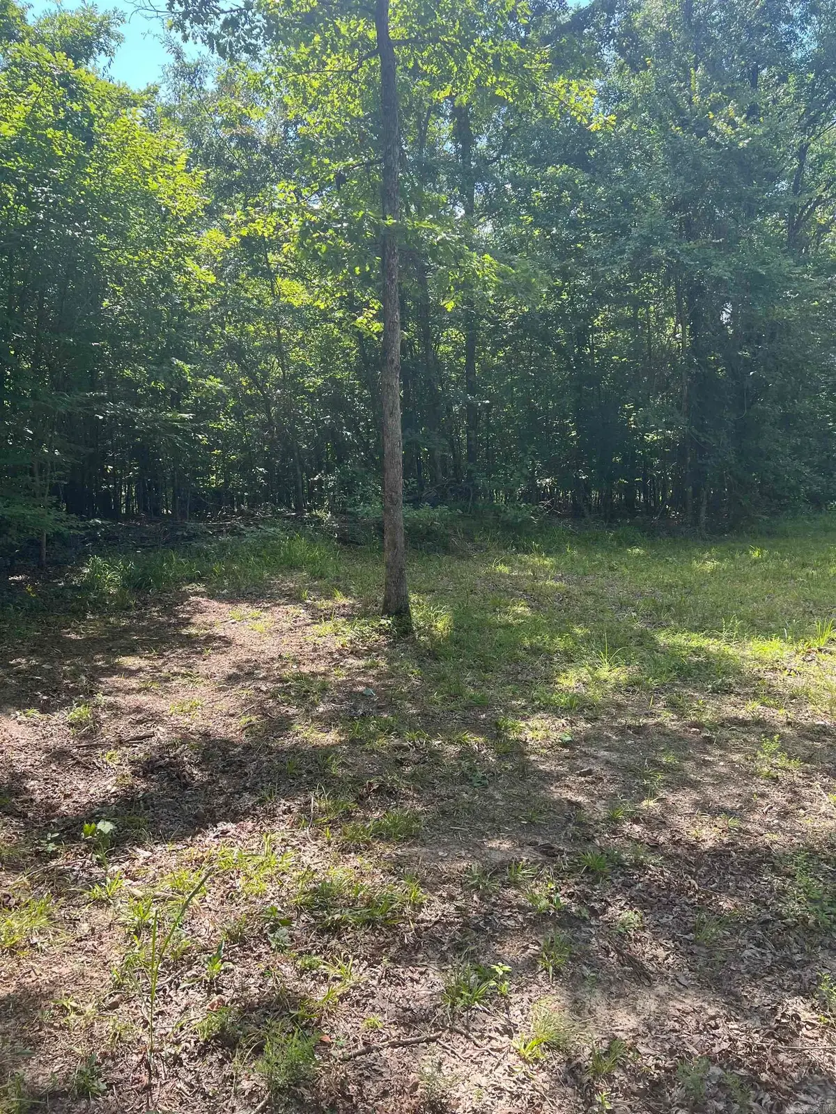 xx Peaceful Hills Road, Bonnerdale, AR 71933 - #1