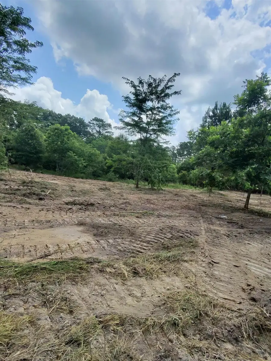 TBD Easement Road Off Polk Road 31, Cove, AR 71937 - #3