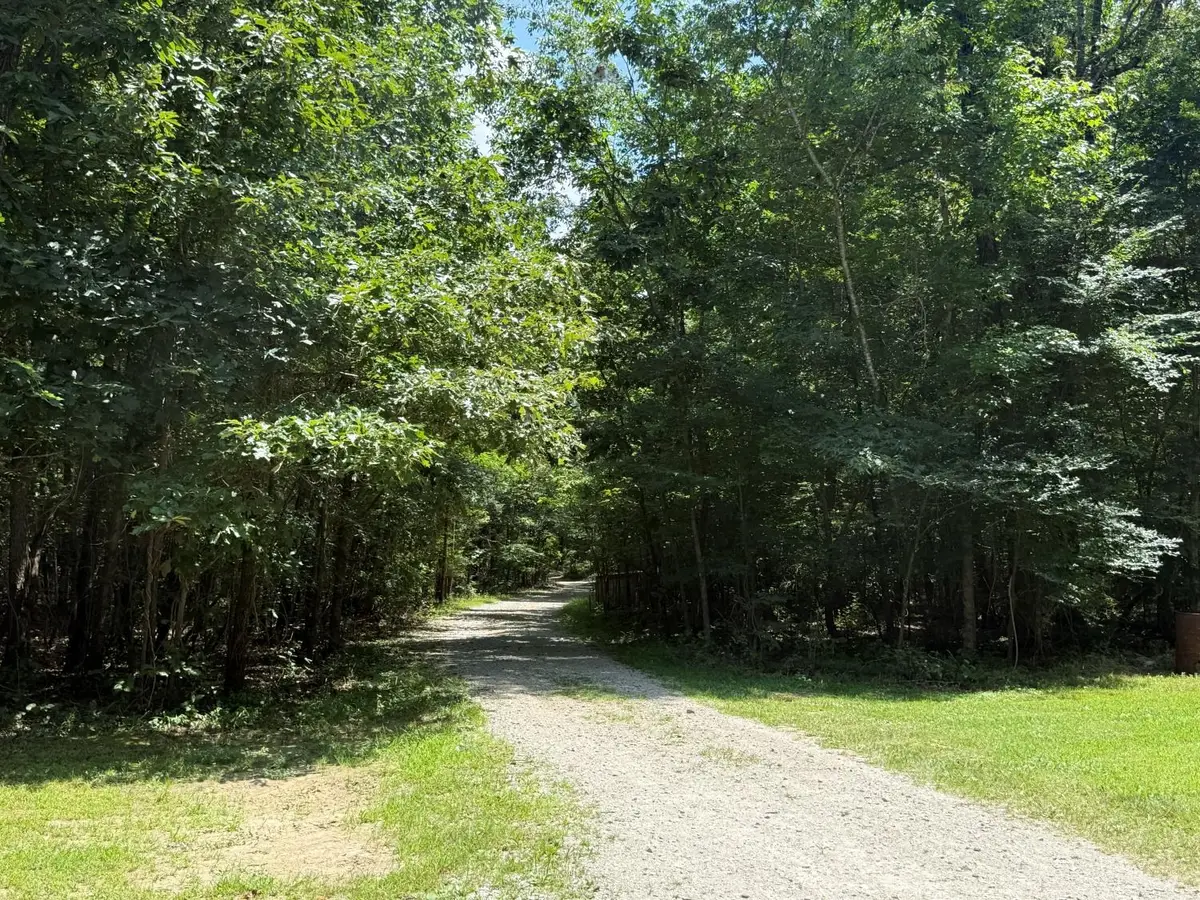 27 Lawrence Road 134, Black Rock, AR 72415 - #1
