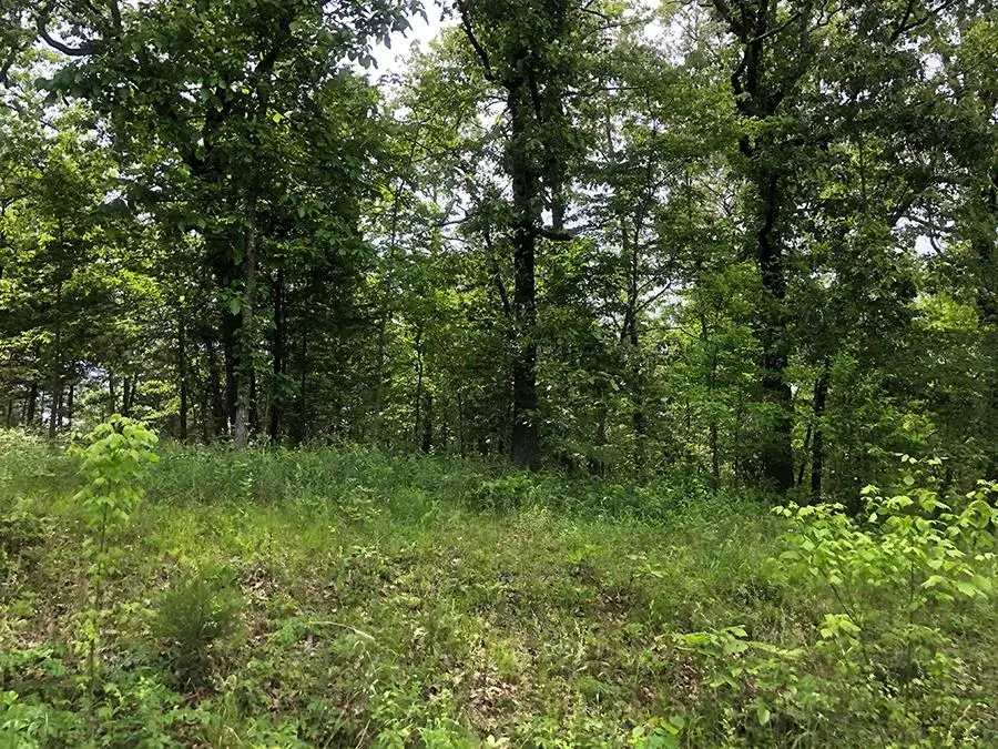 Assiniboin Lane, Cherokee Village, AR 72529 - #1