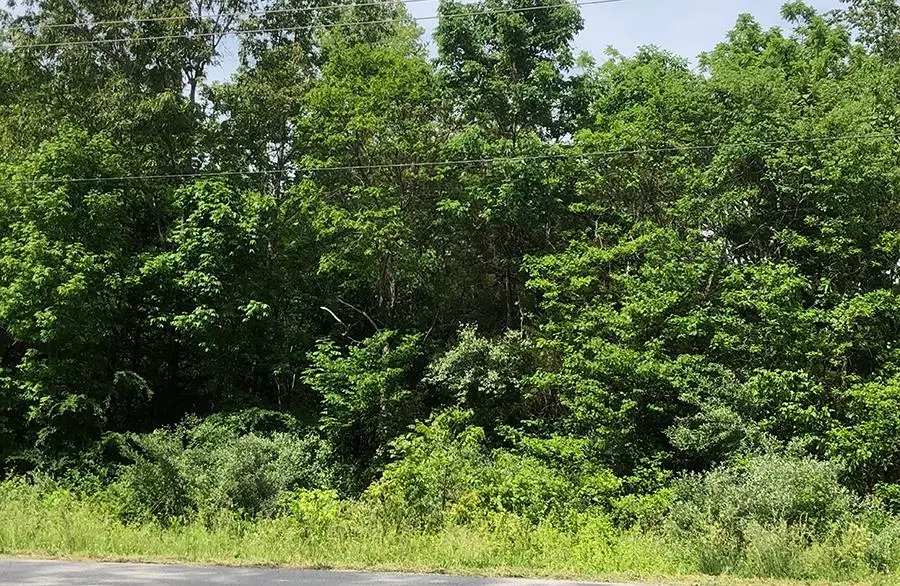 Quanah Drive, Cherokee Village, AR 72529 - #1