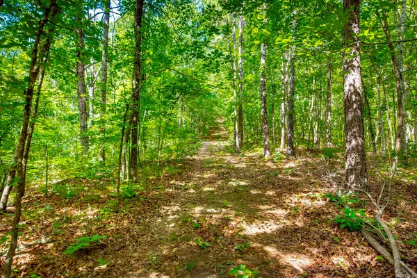 Highway 16 West, Crabtree, AR 72031